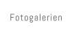 Fotogalerien