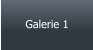 Galerie 1