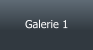 Galerie 1