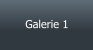 Galerie 1
